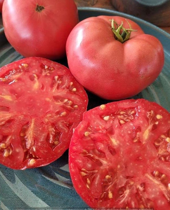 Henderson’s Pink Ponderosa Tomato – Fresh Organic Seeds – Low-Acidity – Heirloom