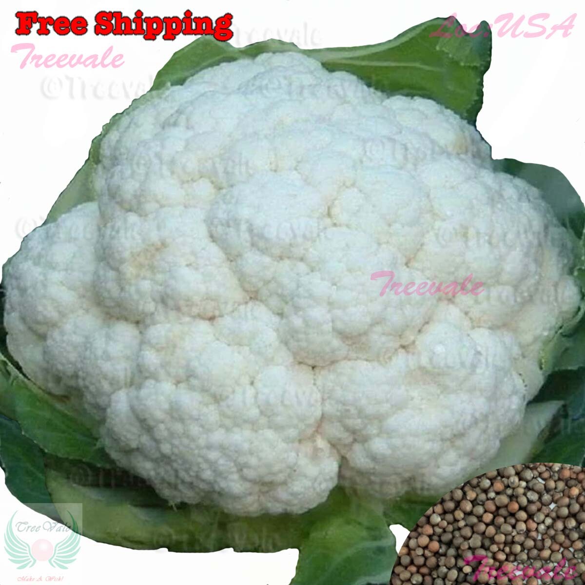 Cauliflower – Snowball Y Improved Cauliflower SEEDS | NON-GMO