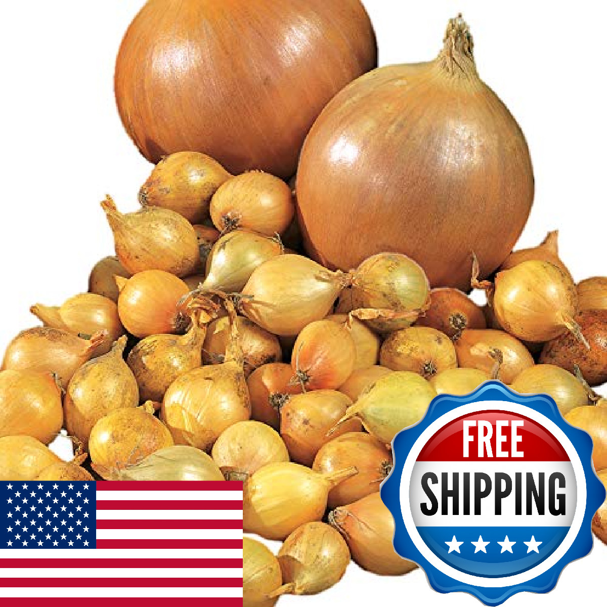Park Seed Candy Hybrid Onion Yellow Variety Early And Flavorful 135-Day