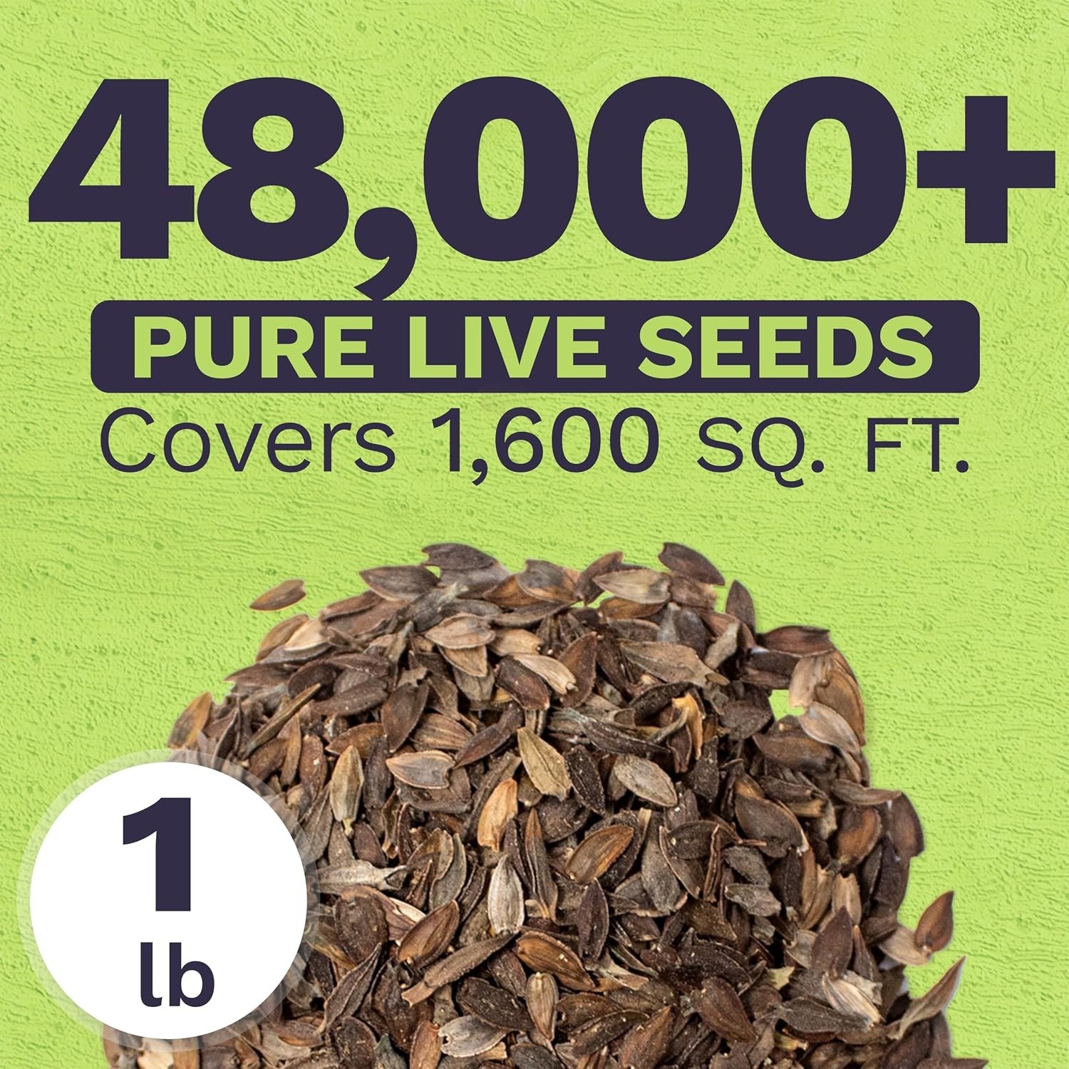 California Giants Zinnia Seeds – 1lb Bag – 48k Flowers