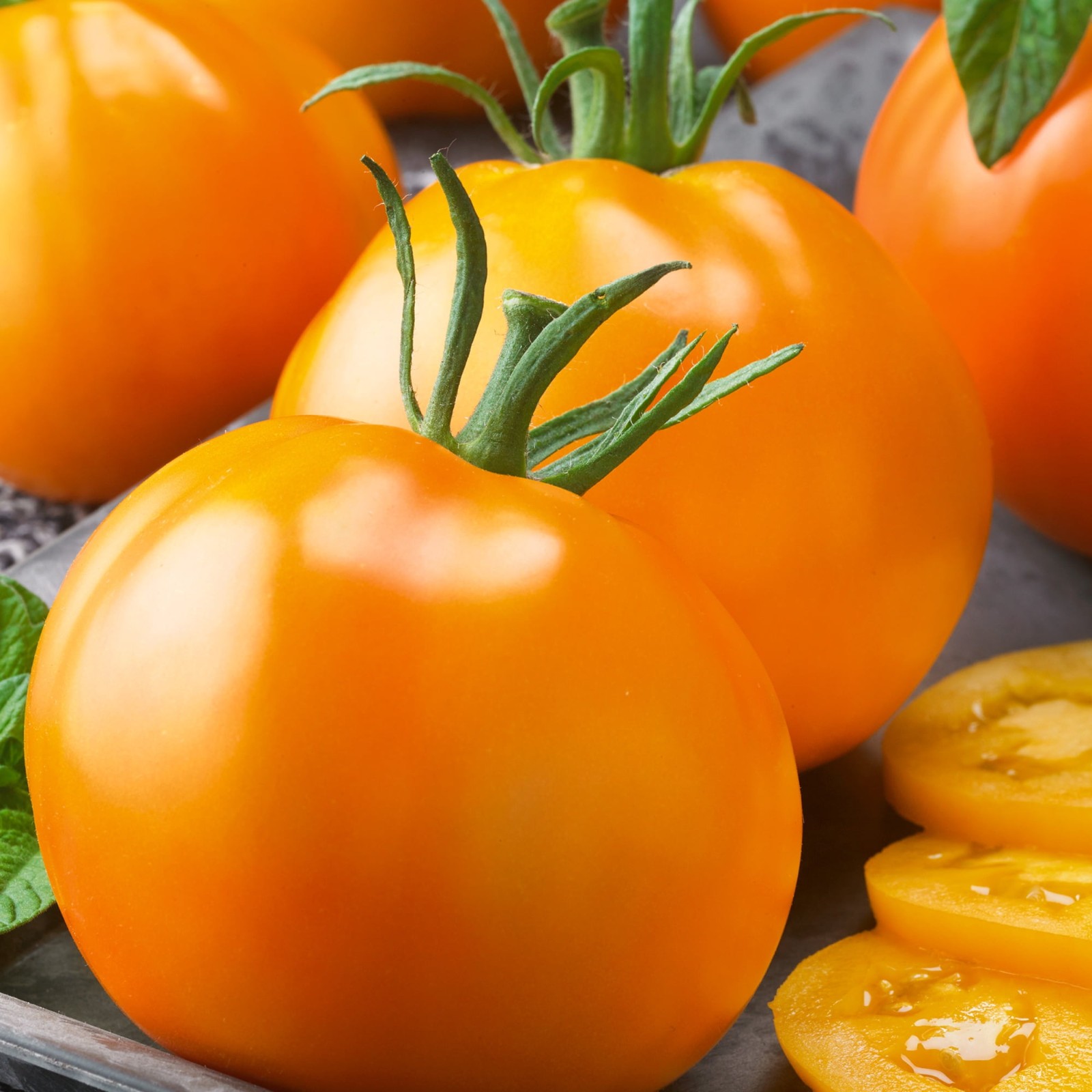 Golden Jubilee Tomato, Lycopersicon esculentum. 50 Seeds Free Shipping!