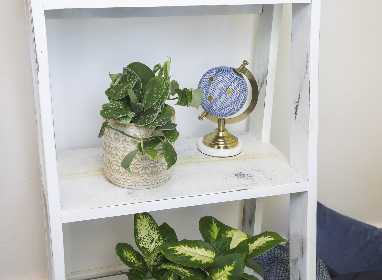 Altman Plants Live Pothos Plants 4Pk Indoor Plants Live Pothos Live Plant House