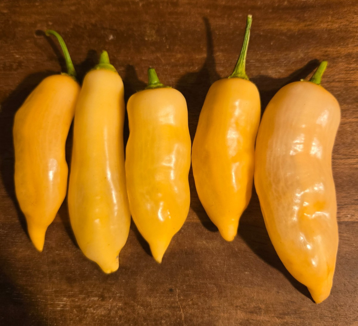 Sugar Rush Peach Organic Pepper 20+ Seeds – Harvested 2025 – Aji Bacattum