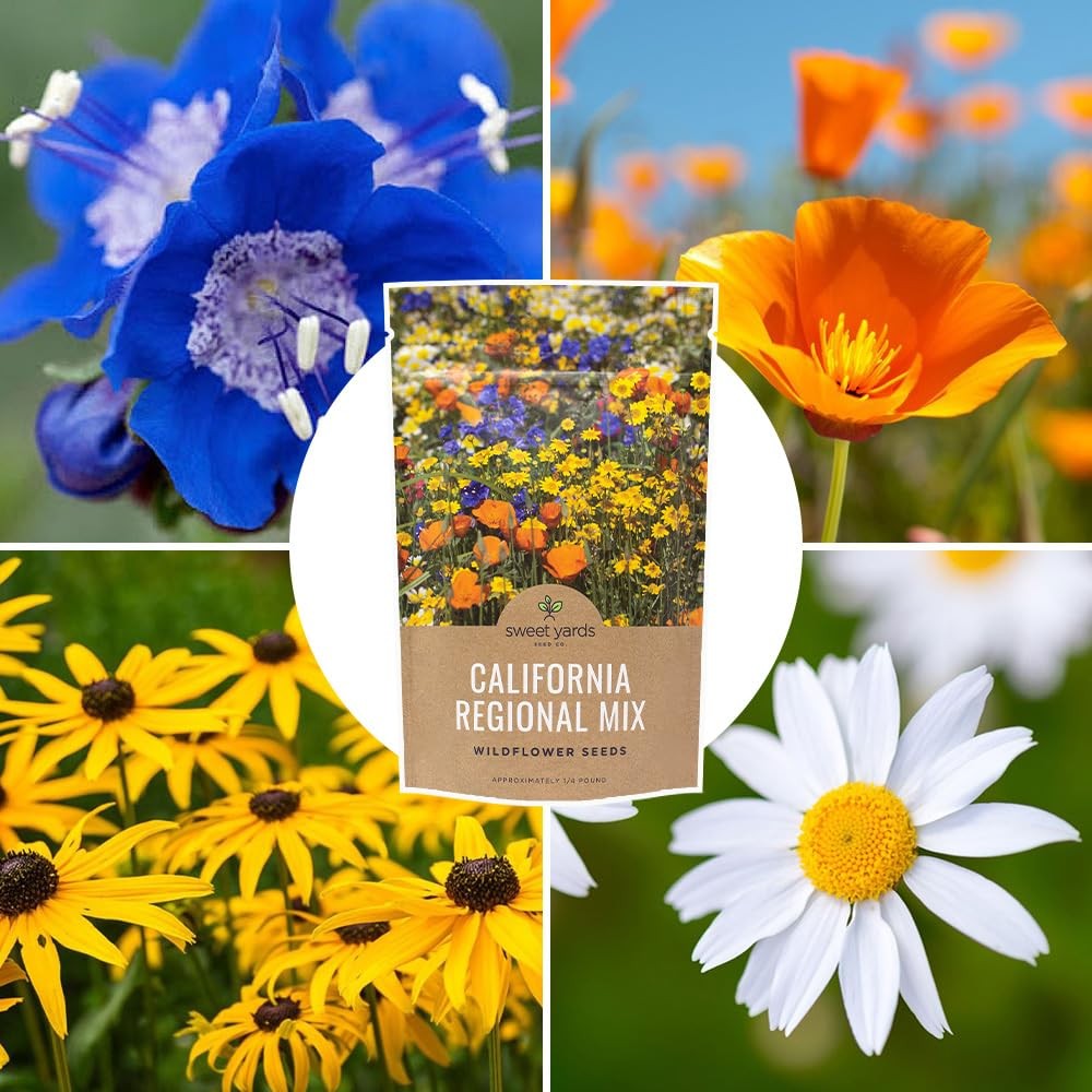 California Wildflower Mixture – Bulk 1/4 4 Ounce (Pack of 1), Multiple Colors