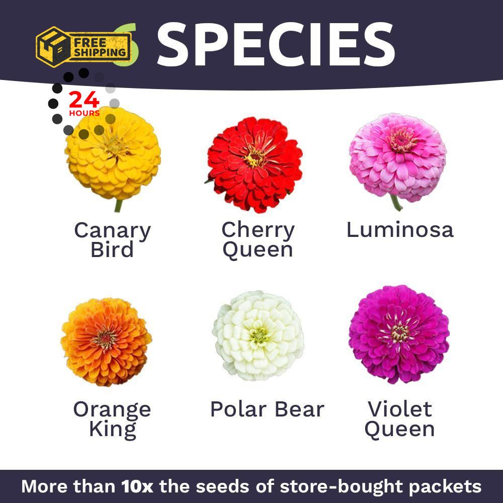 Zinnia Seeds – California Giants Mix – Large 1 1 Ounce Pouch, Multiple Colors