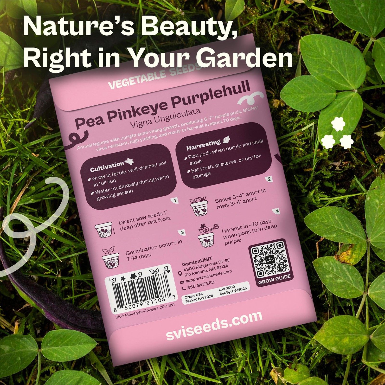 SVI 200 Mississippi Pinkeye Purplehull Pea Seeds (Vigna Unguiculata) – Purple