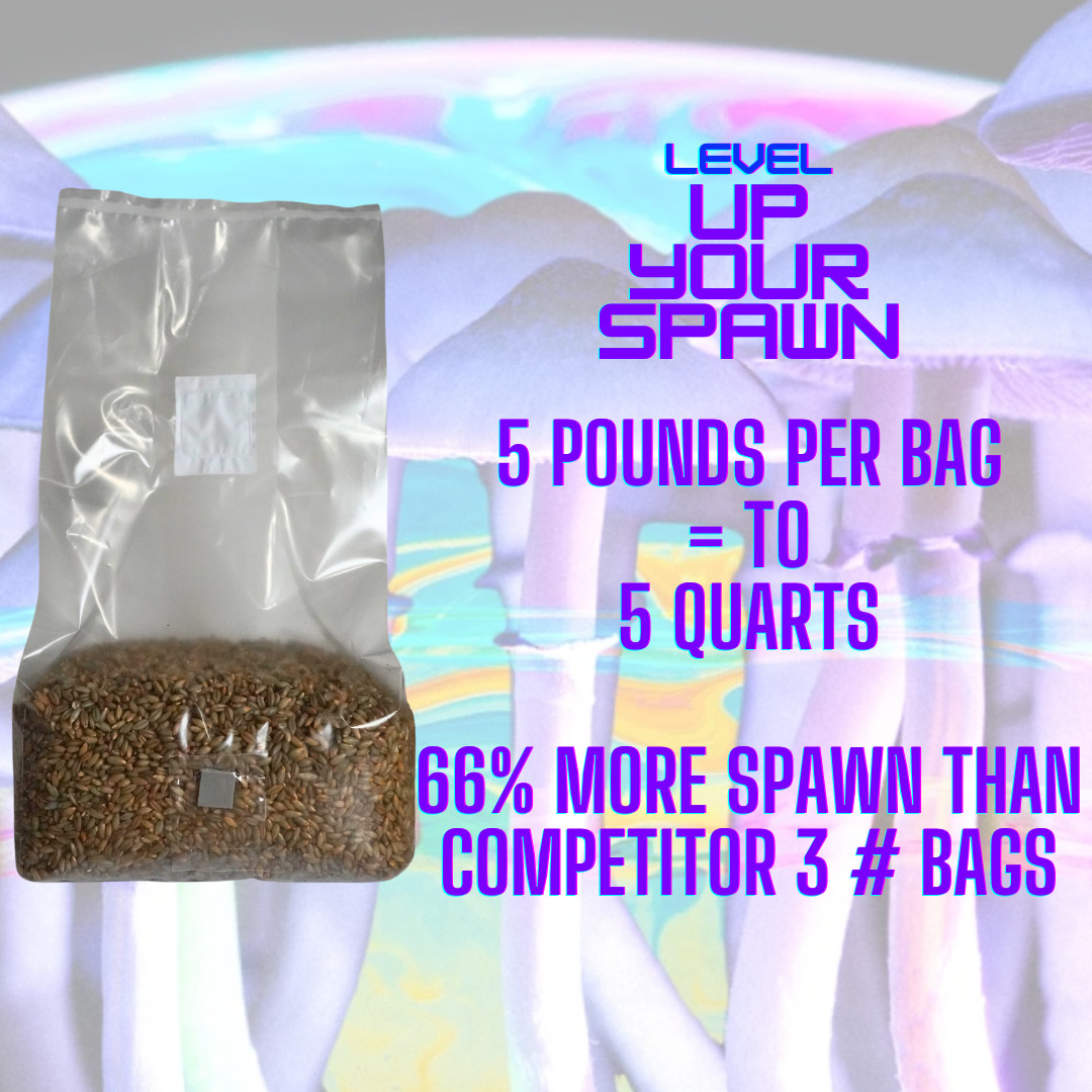 Mushroom Spawn Store 5# Sterile Grain Spawn Bags (Pack of 6)