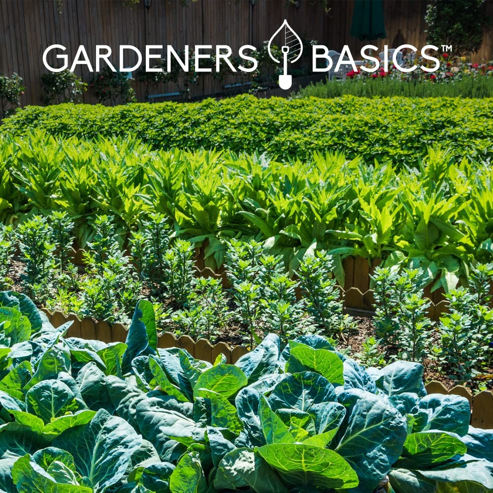 Gardeners Basics Seed Safe Kit 35 Easy to Grow Heirloom Vegetable Seeds for …