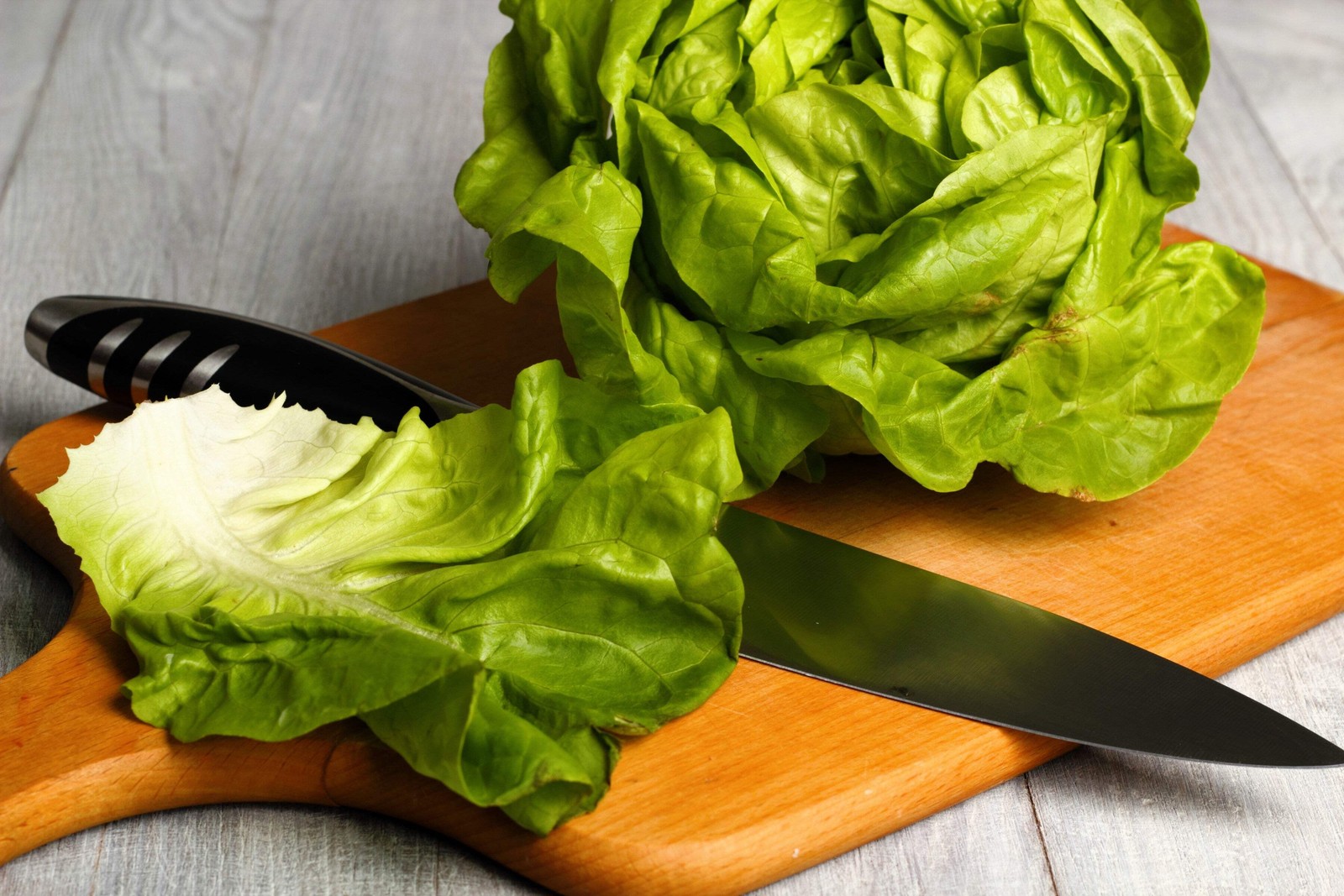 3000 WHITE BOSTON LETTUCE 12″ Green Butterhead Lactuca Sativa Vegetable Seeds