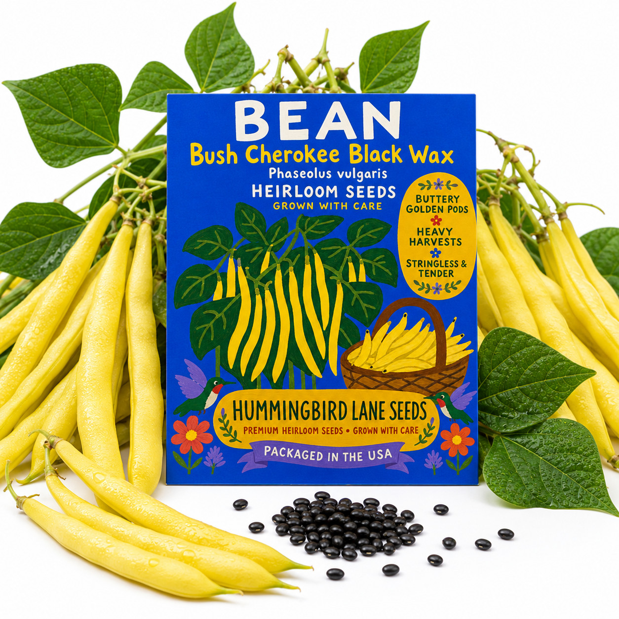 Bean Seeds Bush Cherokee Black Wax | Heirloom Non-GMO Vegetable Garden USA