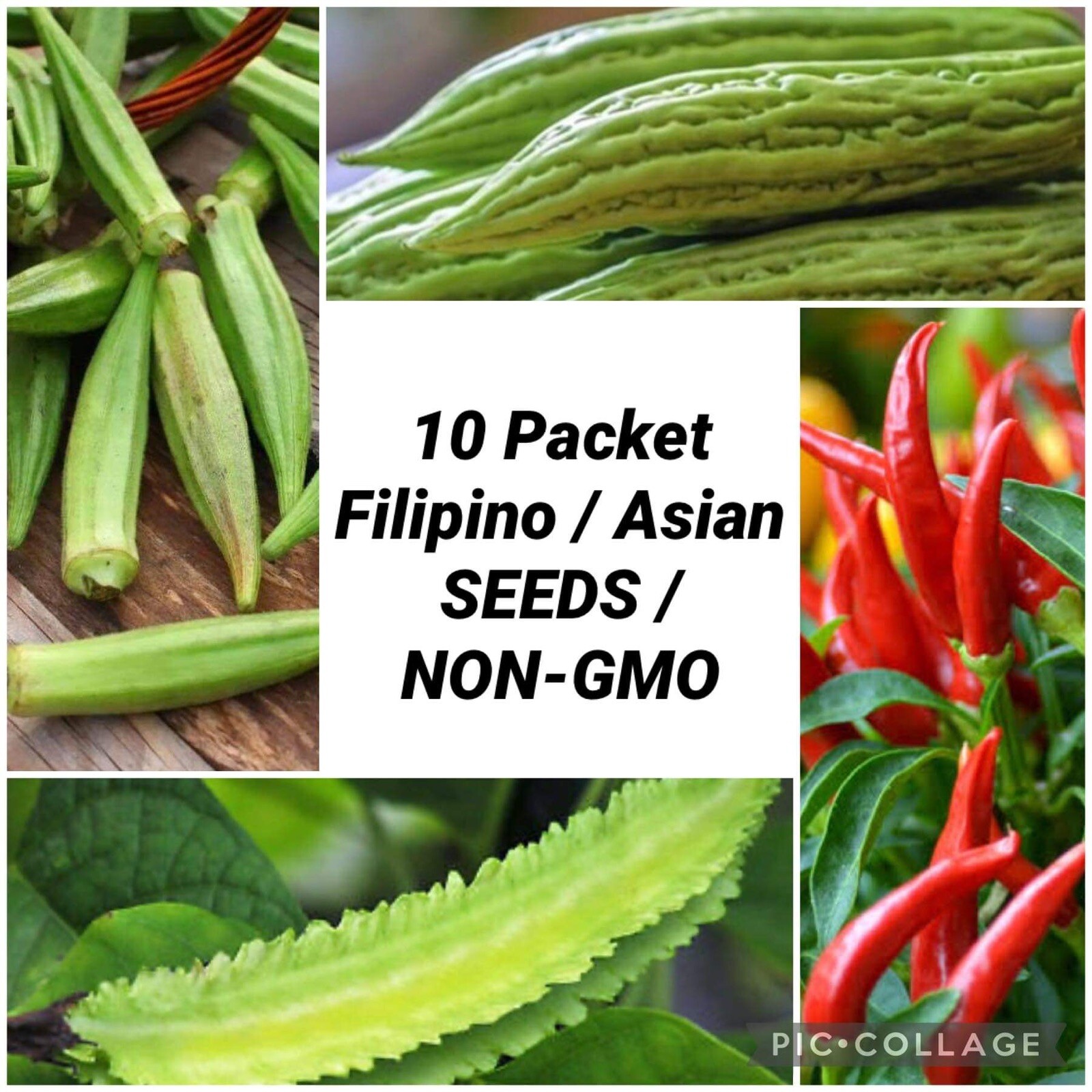 10 Packet Filipino | Asian SEEDS Bundle for Planting + 3 Mystery Packet FREE