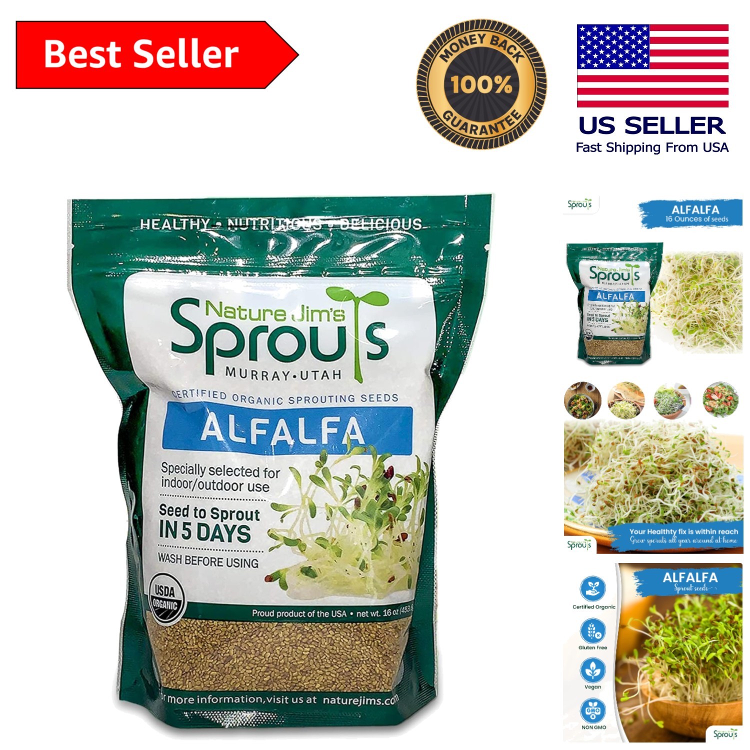 GMO-Free 16 Oz Organic Alfalfa Seeds – Ideal for Healthy Sprouts and Fresh Meals