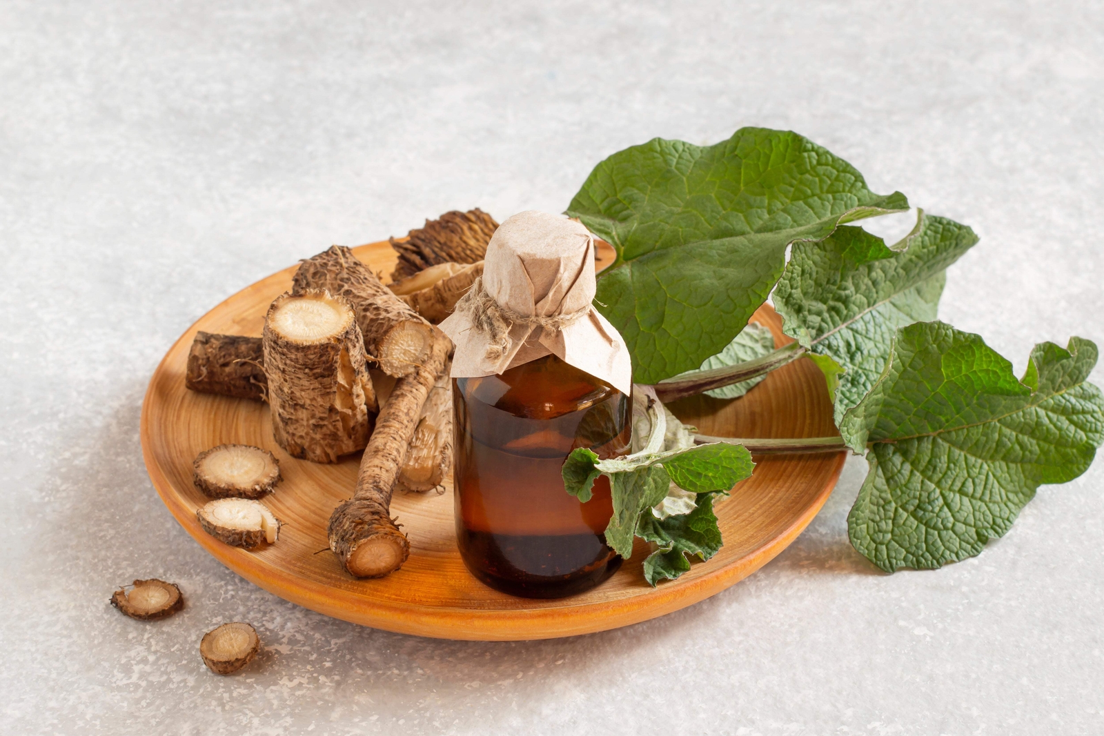 200 Great BURDOCK Arctium Lappa (Edible Burdock Cockle-Button) HERB Flower Seeds