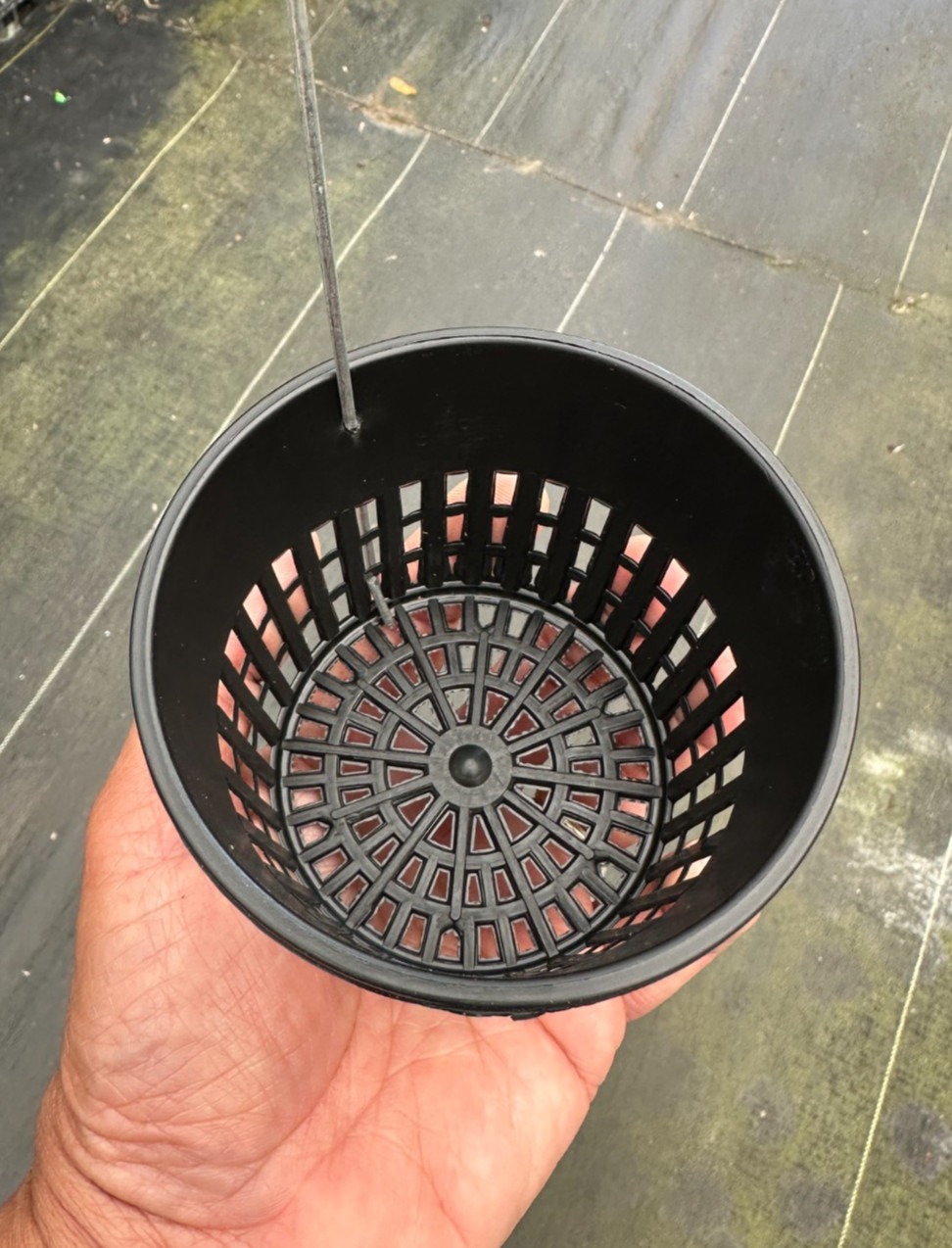 10 PACK 4 INCHES NET POTS WITH SINGLE HANGING WIRE
