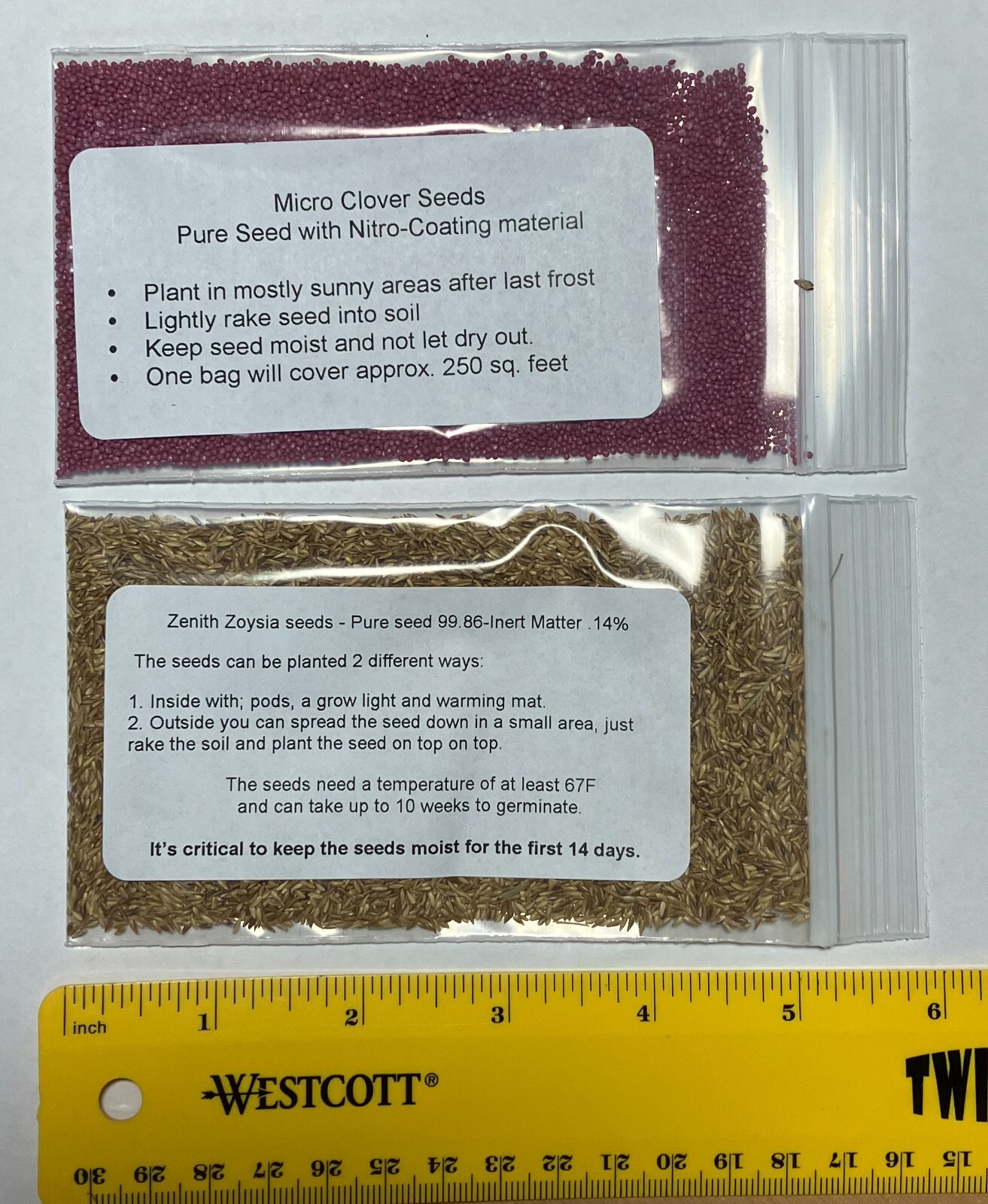 Drought resistant Ground cover Zenith Zoysia and Micro clover seeds