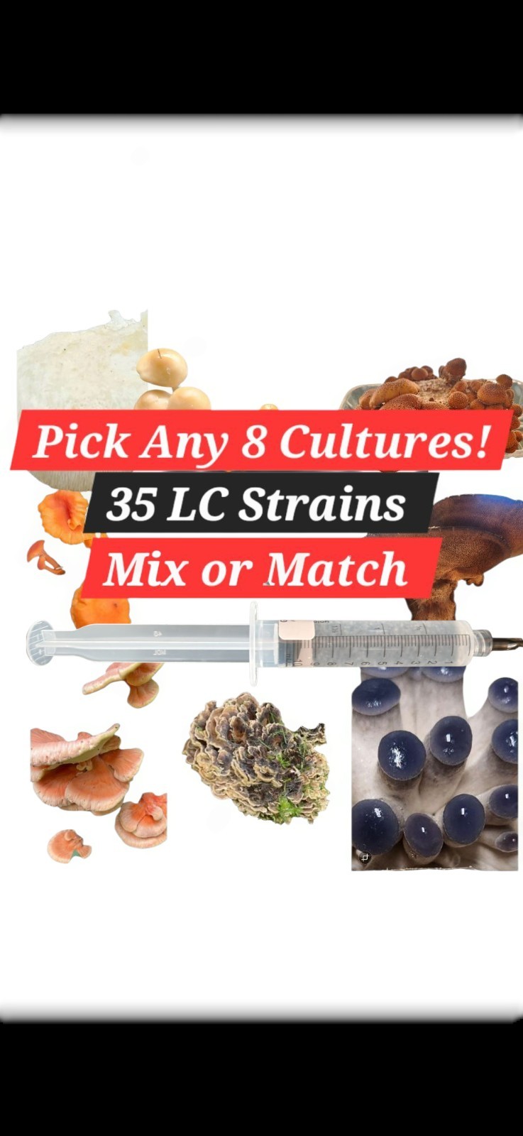 Mushroom Liquid Culture Mycelium Syringes, 10 ml, Pick Any 8, Mix or Match