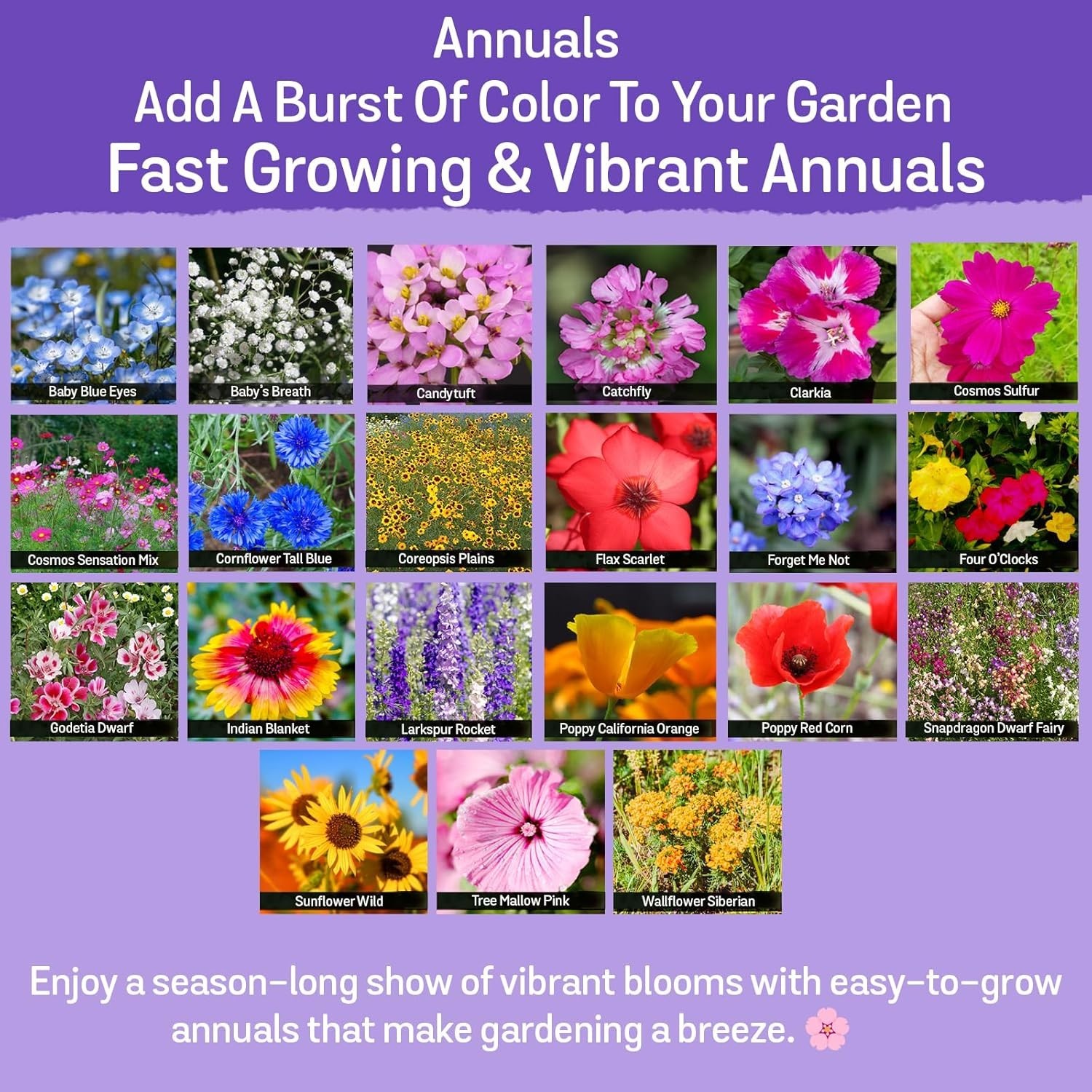 Wildflower Seeds, 1/2 lb, 340,000 Seed, 35 Variety Perennial & Annual Flower …