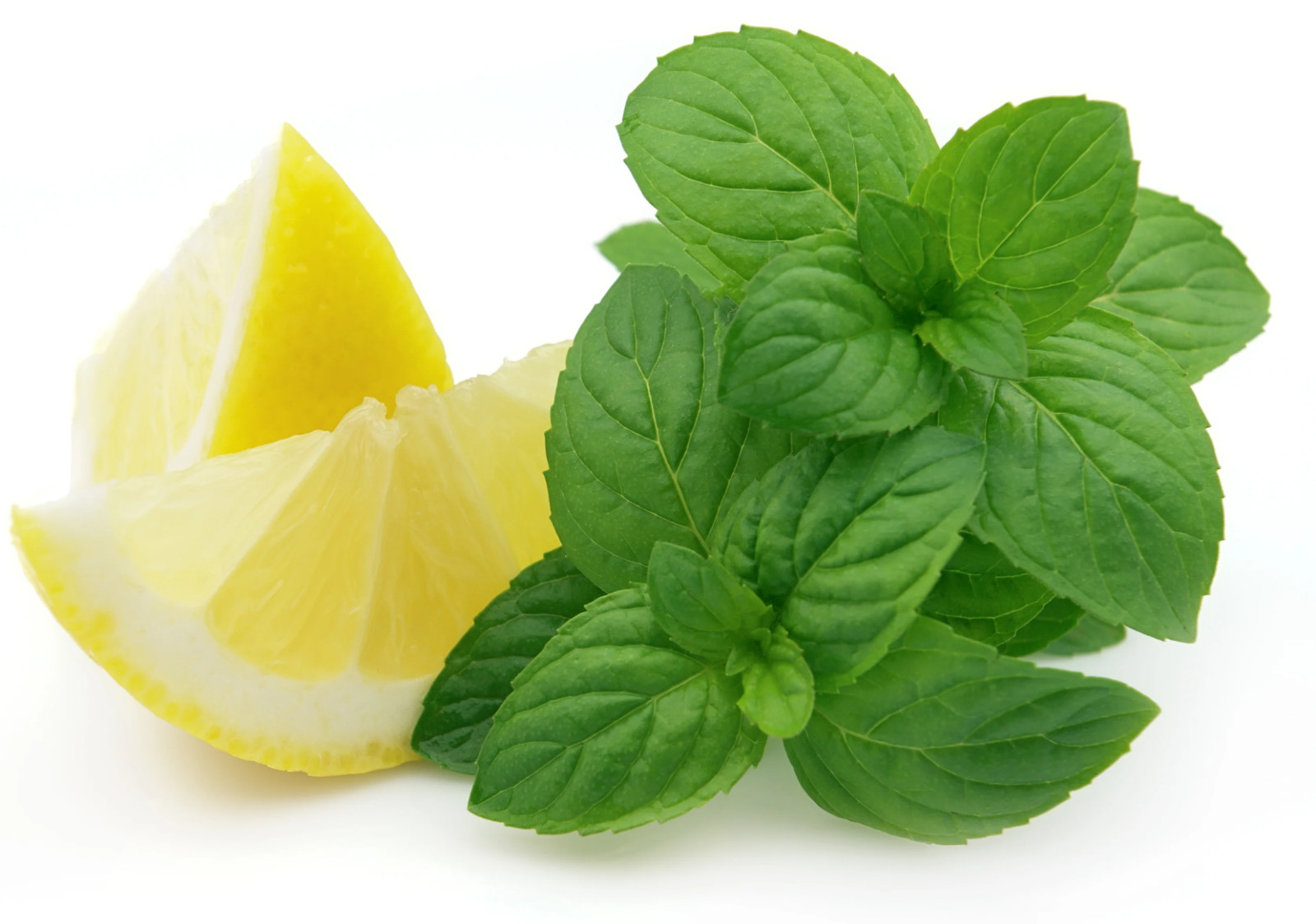 500+ Lemon Mint Seeds – Lemon Bee Balm – Heirloom – Organic – NON GMO — FRESH
