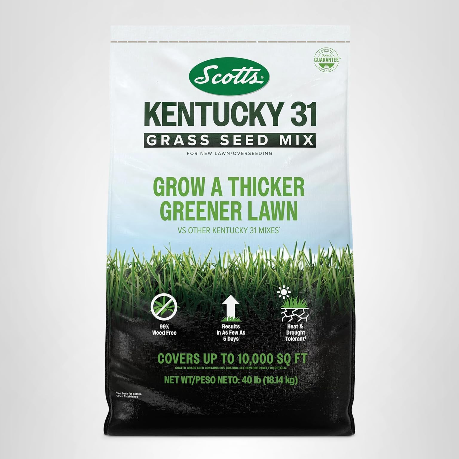 Premium Kentucky 31 Grass Seed Mix – Covers 10,000 sq ft, 40 lb for Lush Lawn