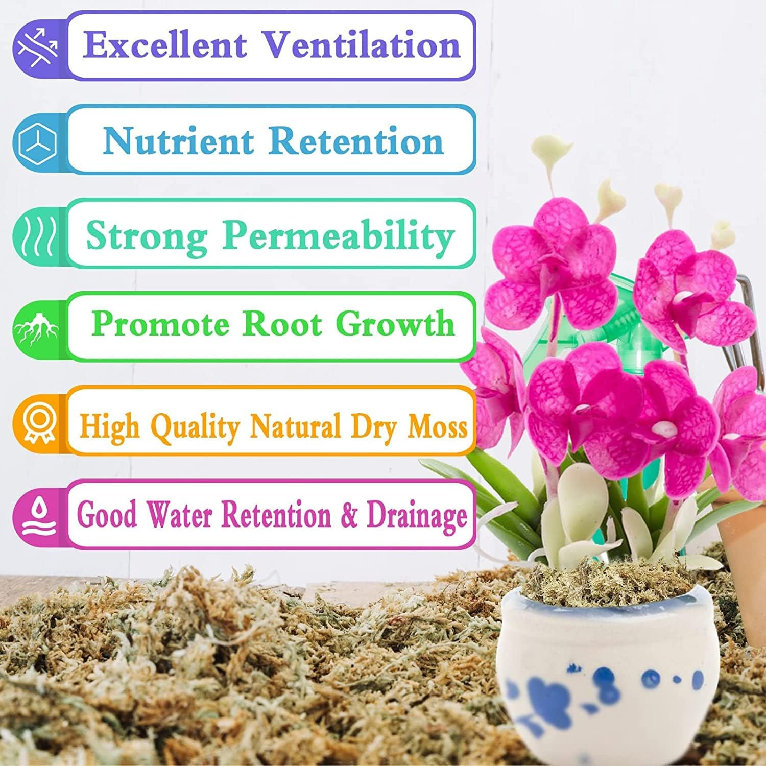 4 Qt Sphagnum Moss for Plants Reptiles Orchid Succulents