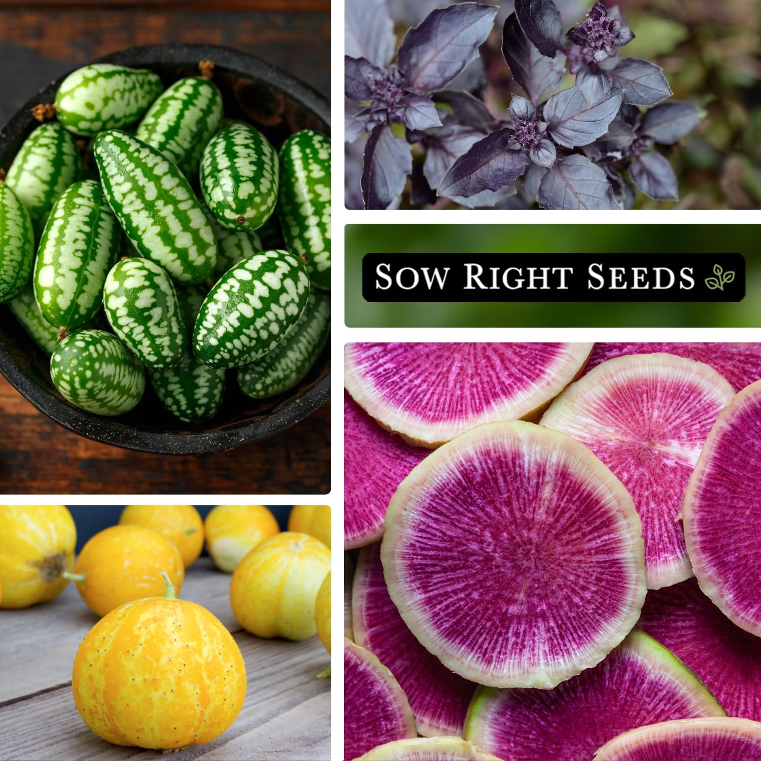 Sow Right Seeds – Rare Exotic Vegetable Seed 10 Varieties, Mix