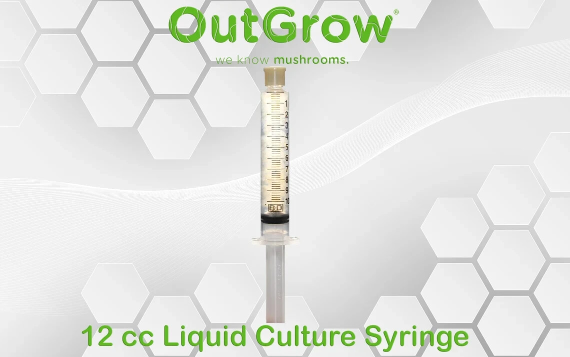 Chicken of the woods (Laetiporus sulphureus) Liquid Culture