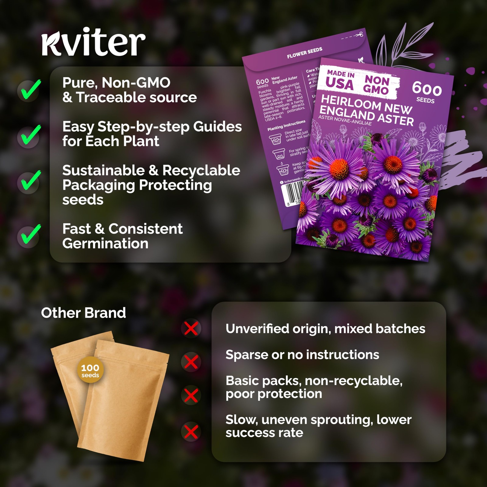 KVITER 600 New England Aster Seeds For Planting (Aster novae)