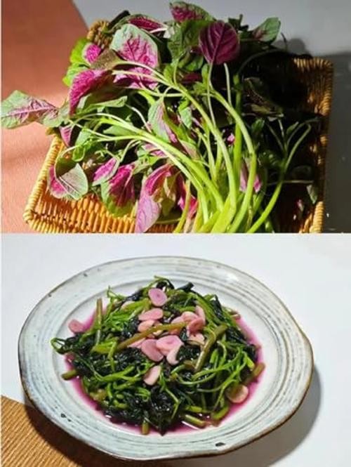 500PCS Red Green Amaranth Spinach Seeds Amaranthus Tricolor Asian Vegetable