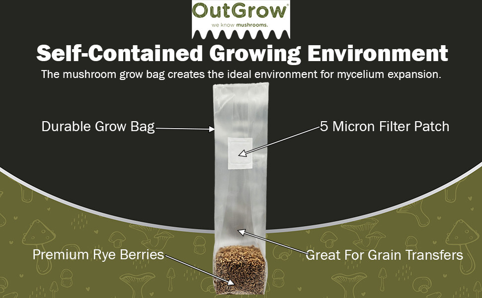 Sterilized Rye Berry Mushroom Substrate (24 One Pound Bags)