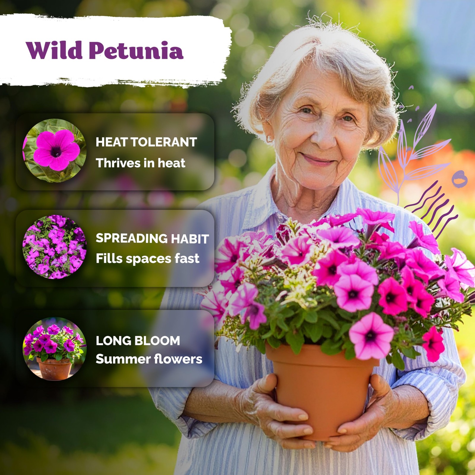 KVITER 2000 Shanin Wild Petunia Seeds For Planting (Pеtuniа viоlacea)