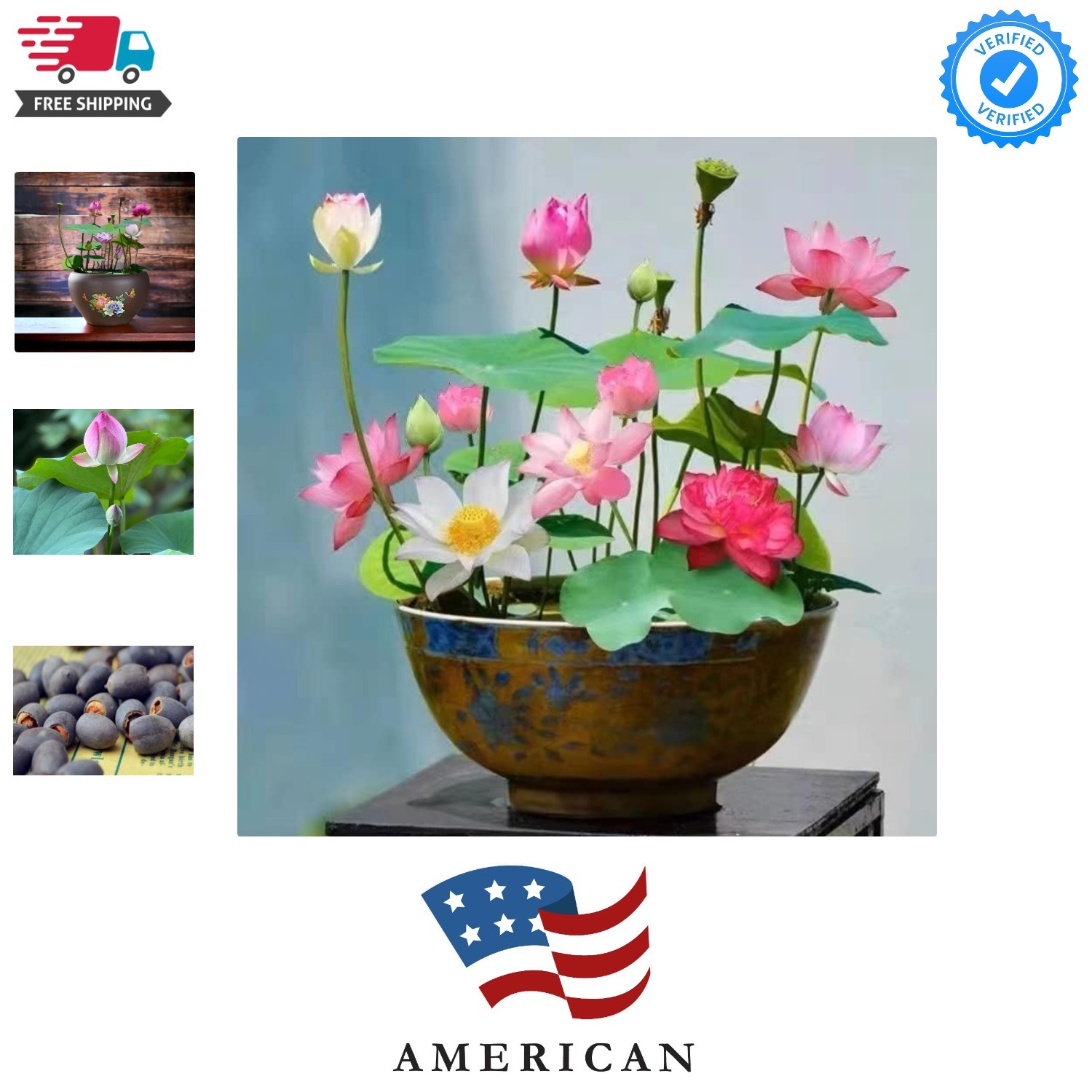 10pcs Mixed Pink, Red & Green Color Bowl Lotus Seeds for Planting Beautiful W…