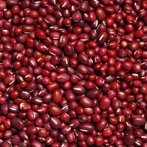 CarpetC 200+ Red Bean Seeds for Planting, Phaseolus vulgaris Heirloom Pole