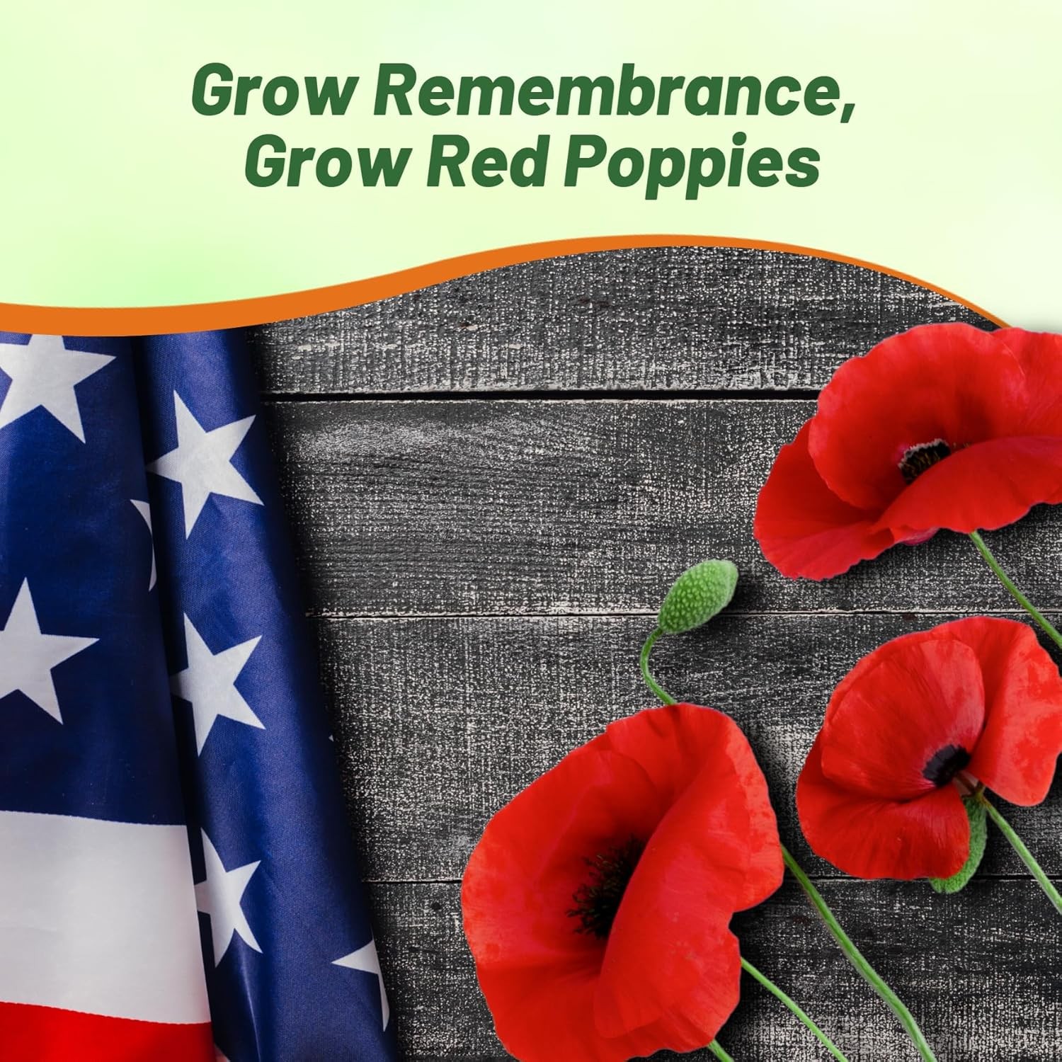 5 LBS Papaver Rhoeas Drought Tolerant Corn Poppy Wild Flowers