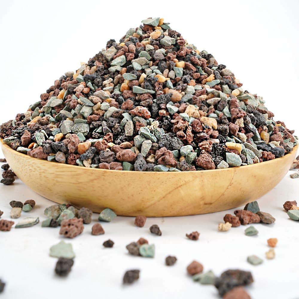 Horticultural Lava Rock Pebbles – Pumice Soil Amendment for Succulents & Cacti –