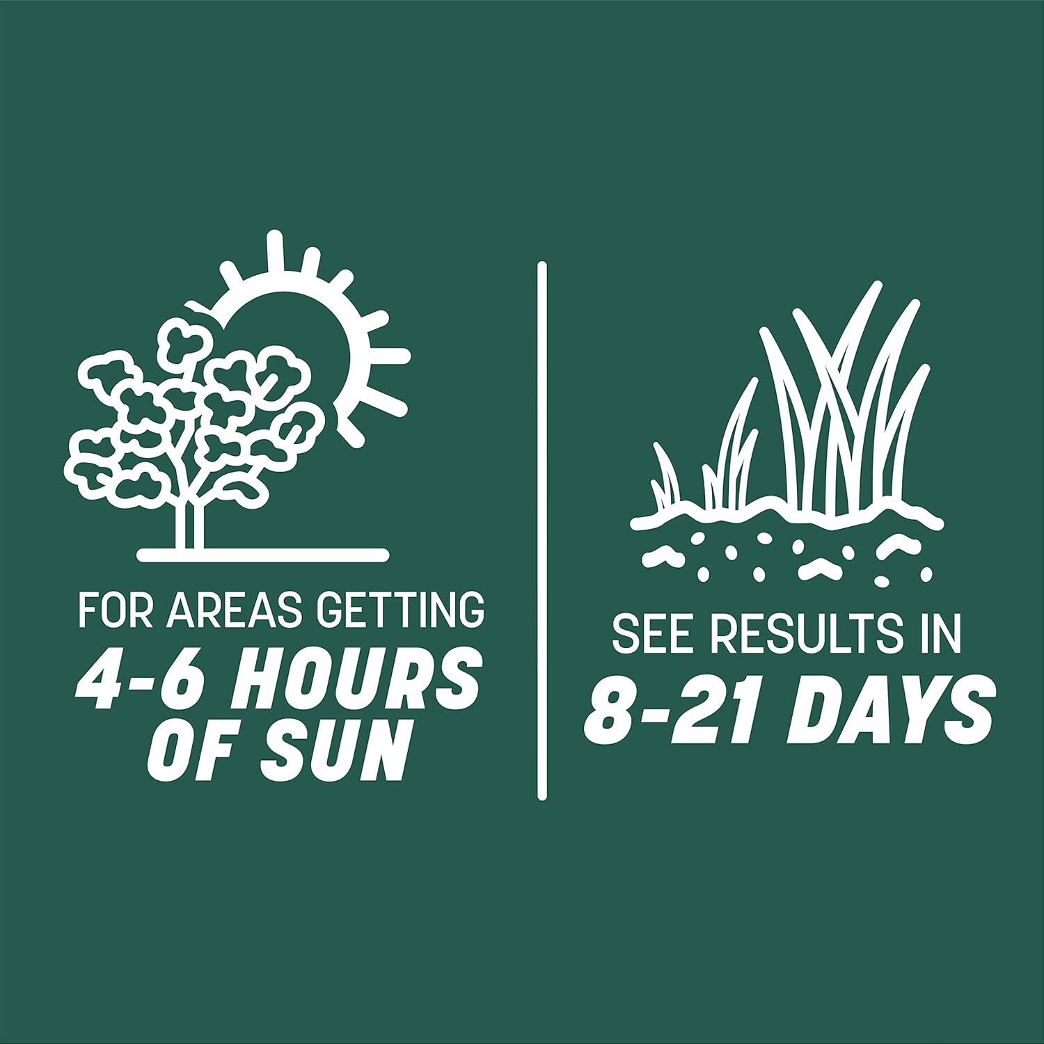 Smart Seed Sun And Shade Grass Mix 3 Lb