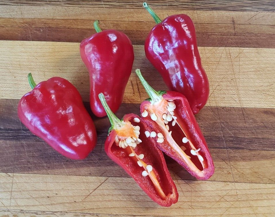 Leutschauer Paprika Pepper (25 Seeds) Free Shipping, great for paprika!