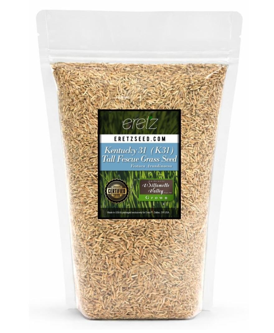 Kentucky 31 K31 Tall Fescue Grass Seed by Eretz Choose Size State Certified,…
