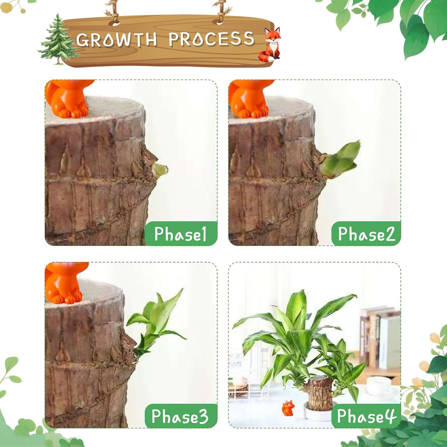 Brazilian Lucky Wood Plant,Fortune Brazil Wood Potted Plant with Little Fox Figu