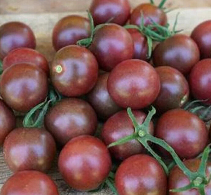 BLACK CHERRY TOMATO SEEDS 20+ INDETERMINATE vegetable GARDEN salad FREE SHIPPING