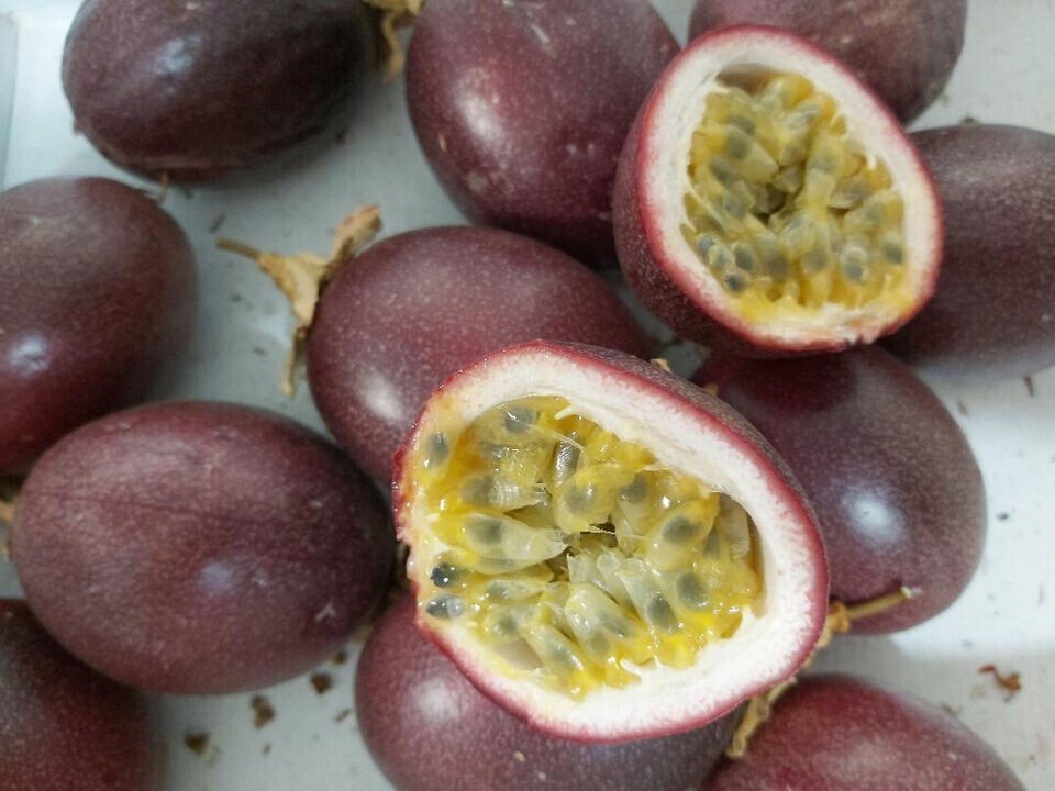 30+ Organic Passion fruit Seeds-None GMO- Grow in USA