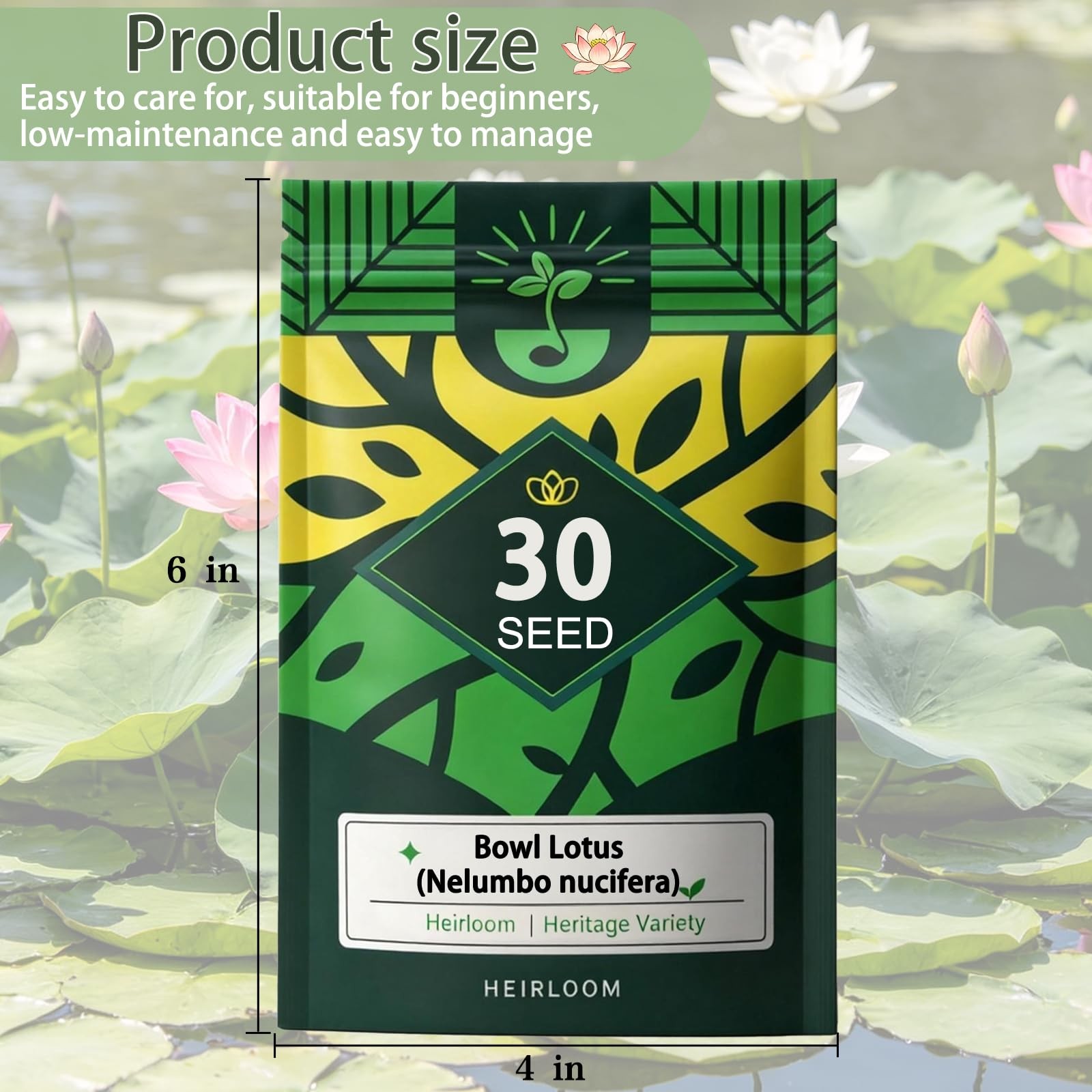 Bowl Lotus Seeds (Nelumbo nucifera), Dwarf Patio Pond Variety, Pack of 30…
