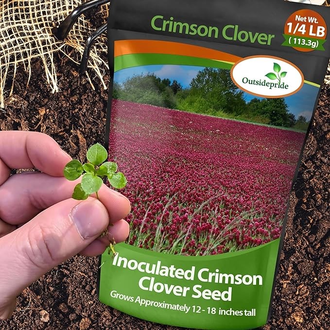 40 LBS – Inoculated Bulk Crimson Clover Seed For Planting Pastures, Cover