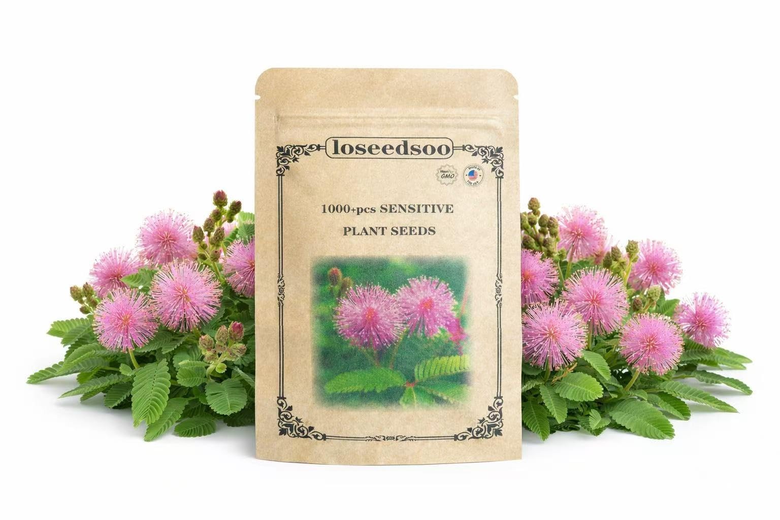1000+ Sensitive Plant Seeds for Planting – Mimosa Pudica Touch Me Not Seeds, …