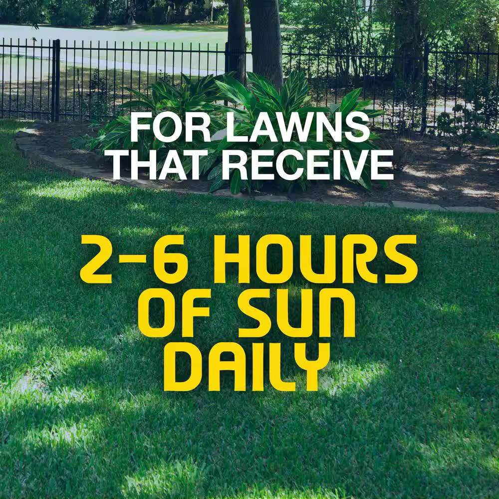 3 Lbs. Shady Lawn Grass Seed Mix