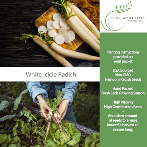 White Icicle Radish Seeds (Raphanus sativus)– 200+ Heirloom Non-GMO Seeds by