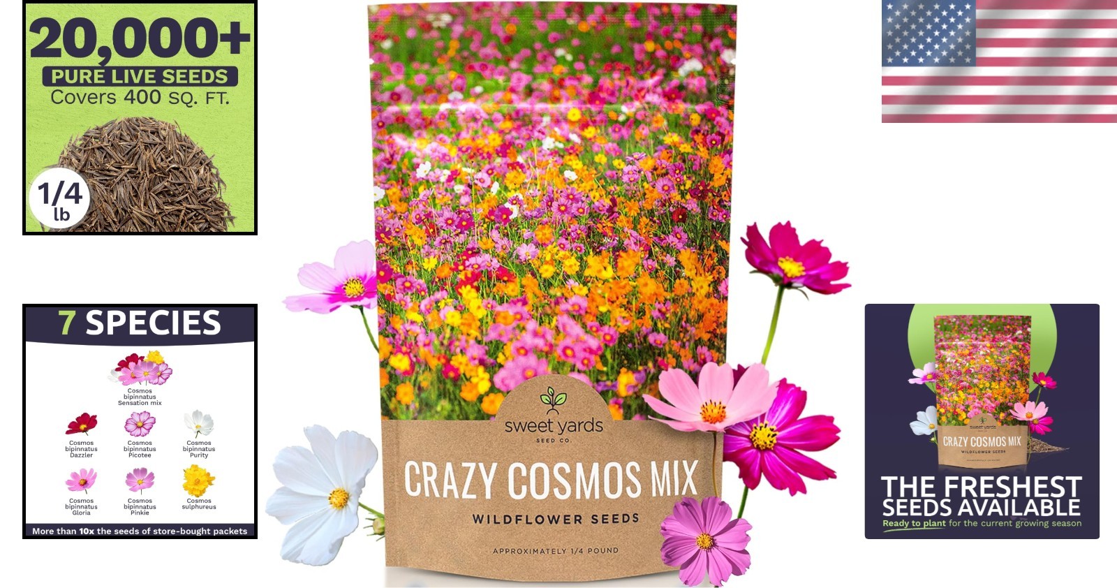 Pink, Yellow, Orange Cosmos Seeds – Bulk Pack – 20,000 Seeds