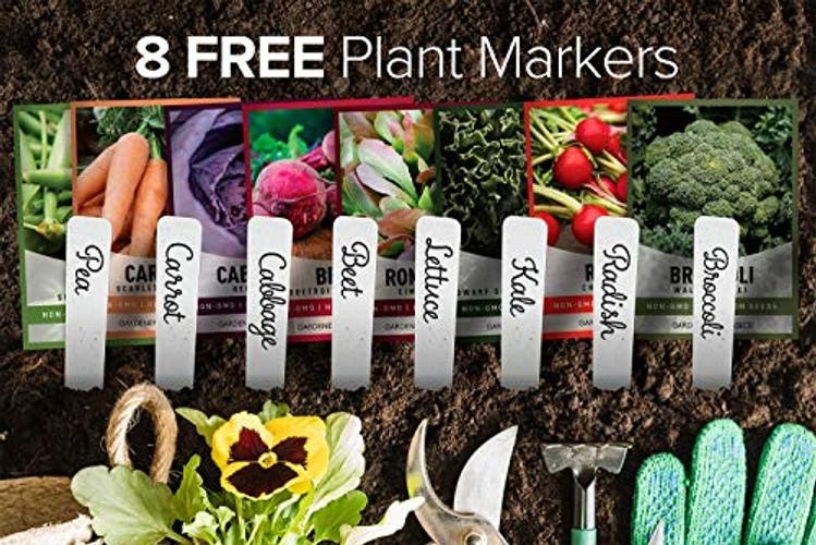 Cool Weather Crops for Planting – Winter, Fall, and Spring Vegetable Seeds