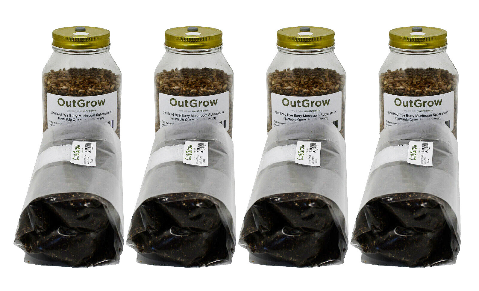 4 Quart Jars of Rye and 4 Bags of Manure-Based Substrate