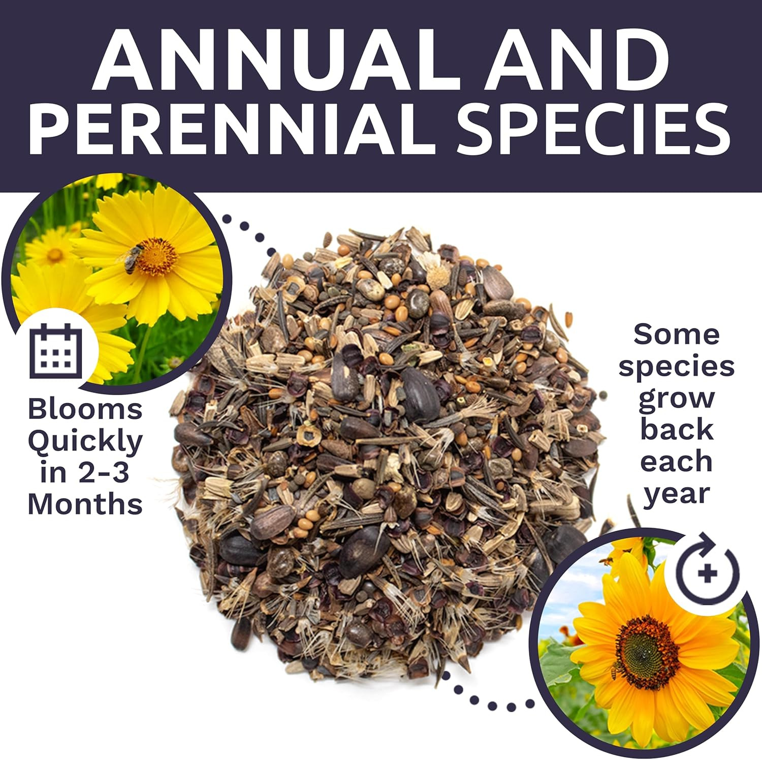 Bee Friendly Wildflower Seed Mix – Bulk 1 Ounce Packet – over 7,500 Open