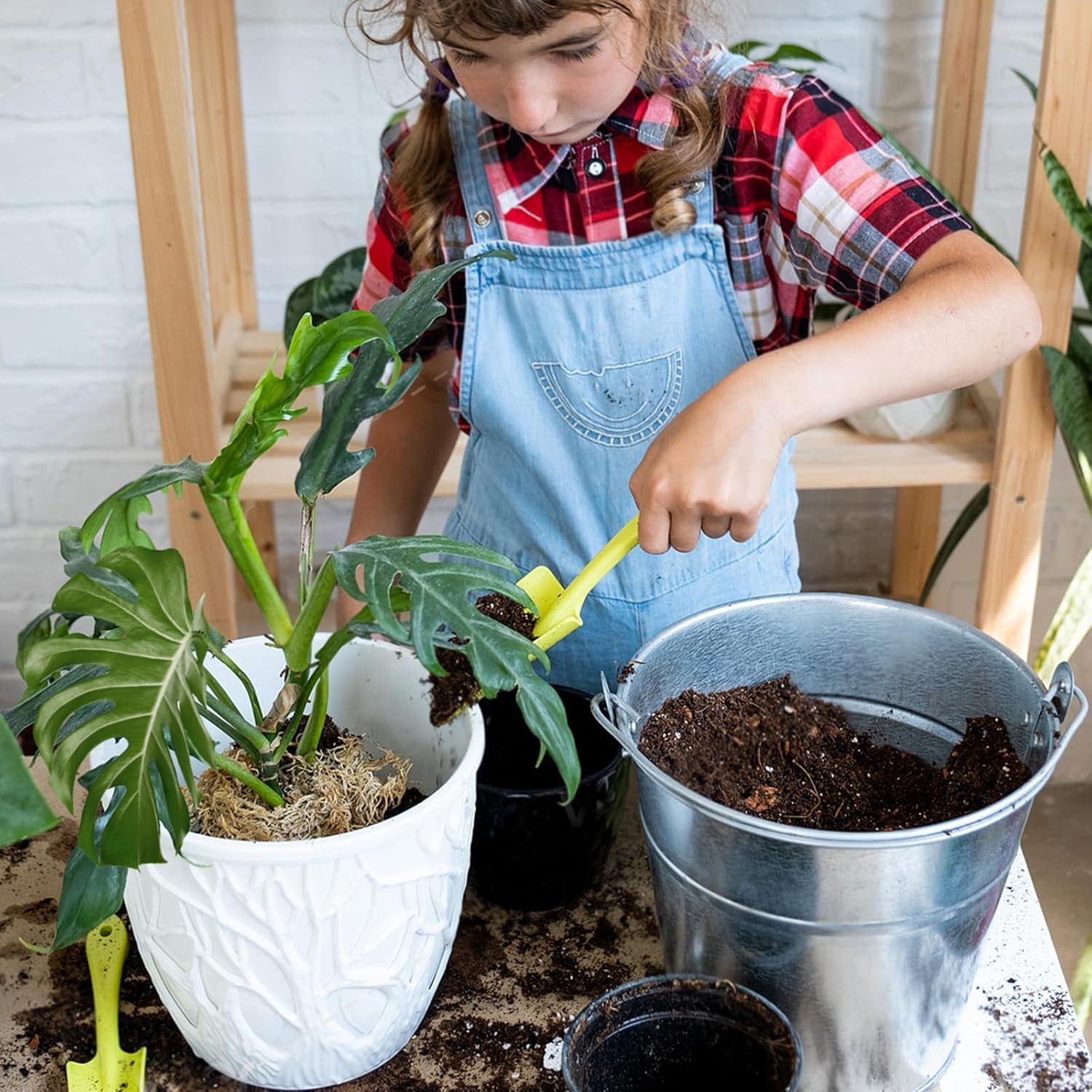 Monstera Potting Soil 1Qt – Premium Tropical Blend with Rapid Drainage for Growi